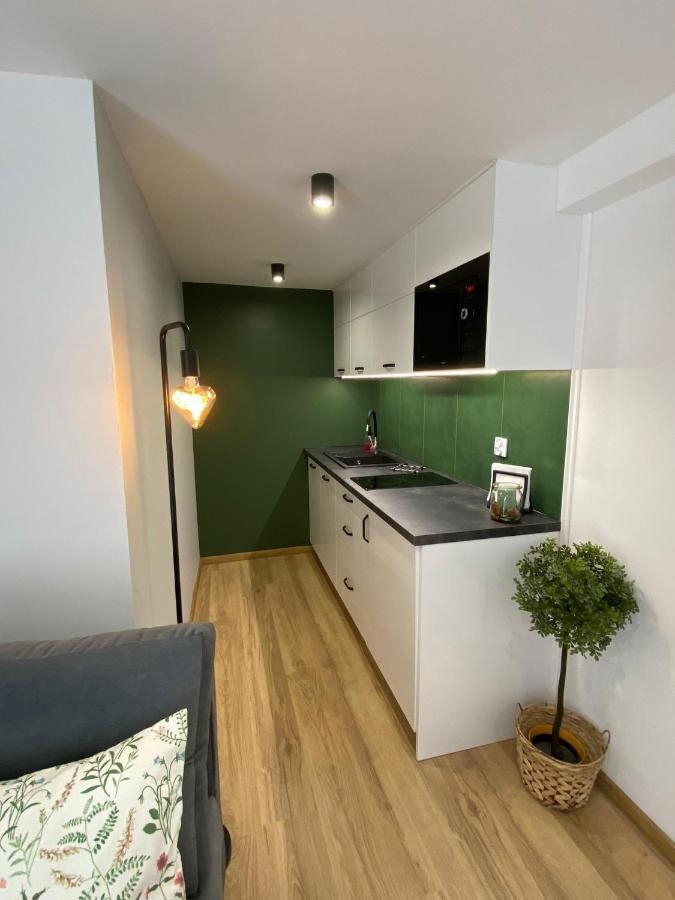 U Gazdy - Apartament Z Ogrodem I Tarasem , Przy Gondoli Щирк Екстер'єр фото